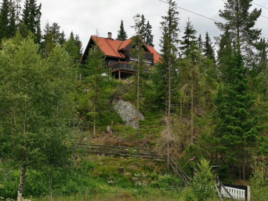 Casa San Gottardo - The Forest House, Etnedal Dış mekan fotoğraf